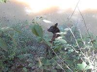 DSCN0109.JPG
