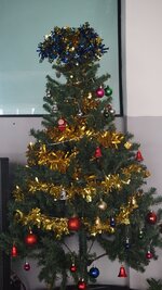 Weihnachtsbaum 2 - DSC02665.jpg