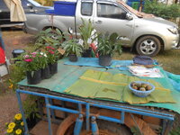 DSCN0667.JPG