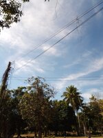 IMG_20231204_101653_912.jpg