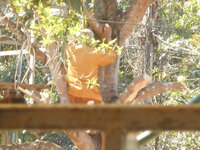 DSCN0410.JPG