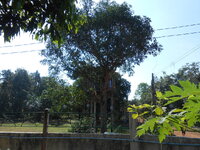DSCN0405.JPG