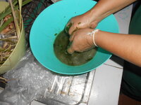 DSCN1059.JPG