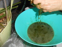 DSCN1061.JPG