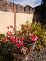 IMG_20231204_101815_338.jpg