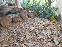DSCN0988.JPG