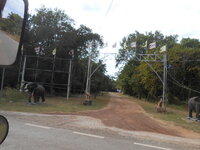 DSCN0869.JPG