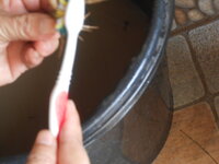 DSCN0821.JPG