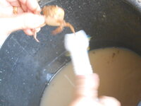 DSCN0822.JPG