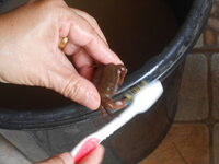 DSCN0825.JPG