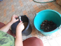 DSCN0820.JPG