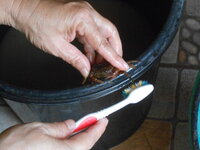 DSCN0826.JPG