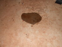 DSCN0931.JPG