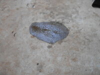 DSCN0930.JPG