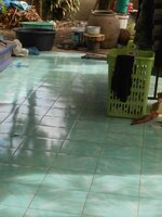 DSCN0966~2.JPG