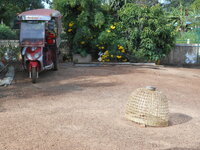 DSCN1028.JPG