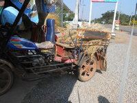 DSCN0758.JPG