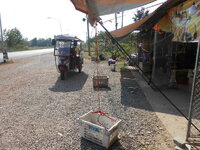DSCN0761.JPG