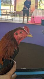 PXL_20231209_064643460.jpg
