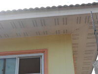 DSCN0984.JPG