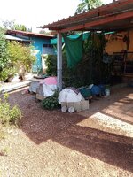 IMG_20231204_101843_336.jpg