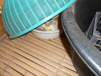 DSCN0353.JPG
