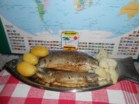 DSCN9037.JPG