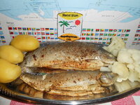 DSCN9038.JPG