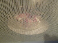 DSCN8510.JPG