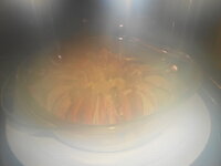 DSCN8512.JPG