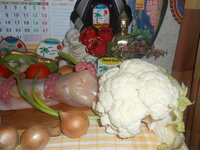 DSCN0146.JPG