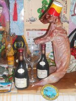 IMG_20190110_111337.jpg