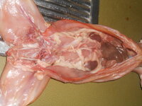 DSCN0182.JPG