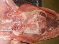 DSCN0183.JPG