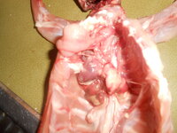 DSCN0188.JPG