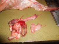 DSCN0189.JPG