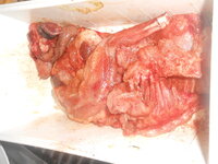 DSCN0197.JPG