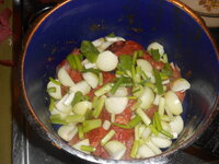DSCN0202.JPG