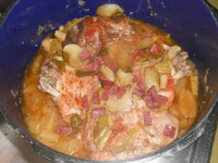 DSCN0205.JPG