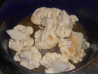 DSCN0208.JPG