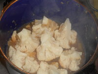 DSCN0219.JPG