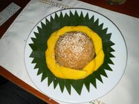 IMG_5744.jpeg