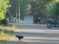DSCN1126.JPG