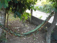 DSCN1124.JPG