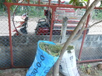 DSCN1123.JPG