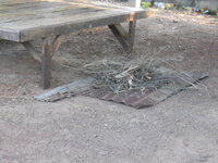 DSCN1130.JPG