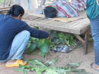 DSCN1150.JPG
