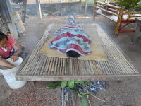 DSCN1152.JPG
