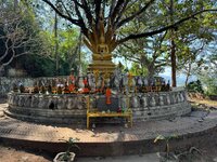 IMG_4364.jpeg