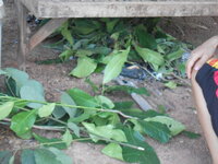 DSCN1160.JPG